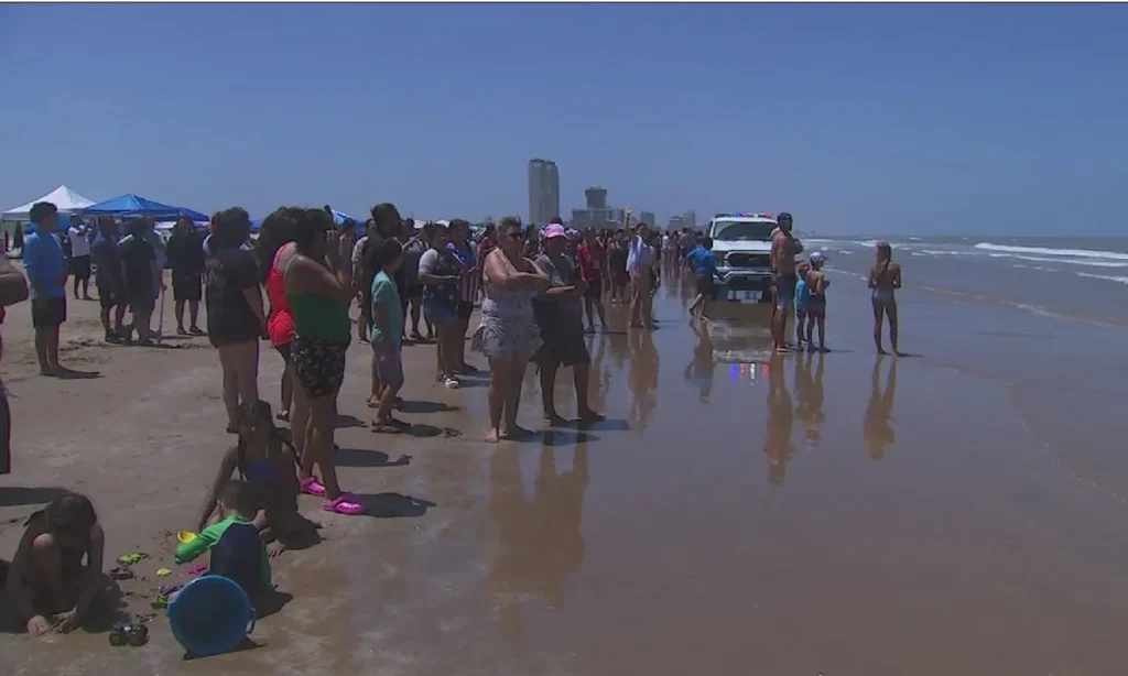 4th Shark Attack Of The Day In South Padre Island