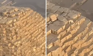 Dog Spotted on Top of the Great Pyramid of Giza